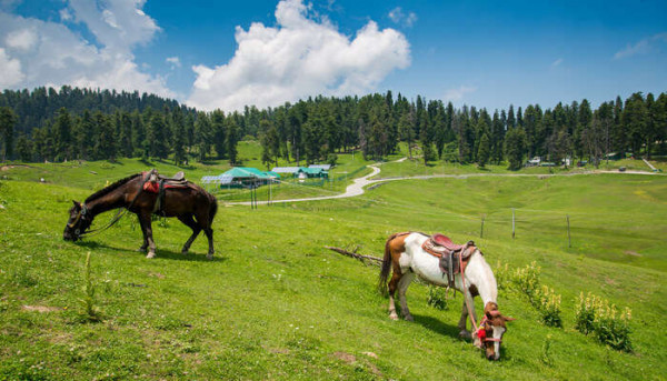 Kashmir with Patnitop 2Star Standard Package