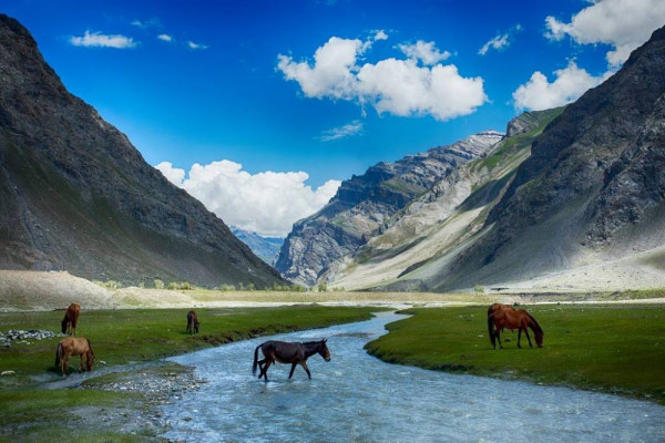 Magical Kashmir Tour with Ladakh